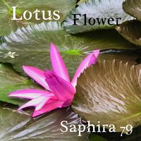 Lotus Flower