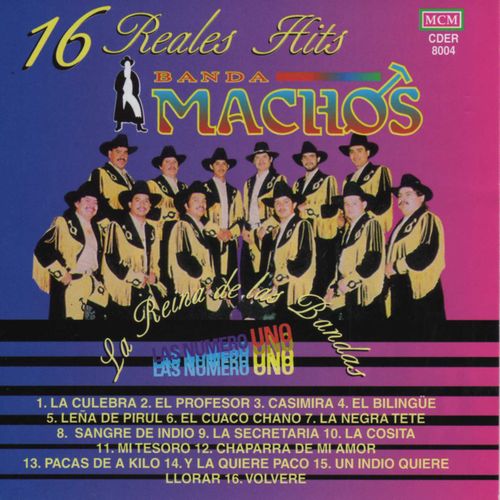 Sangre de indio from 16 Reales hits by Banda Machos | Jaxsta - Overview