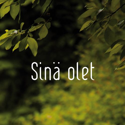 Sinä olet | Single by Tapio Liinoja and Pinja Rautio | Jaxsta - Overview